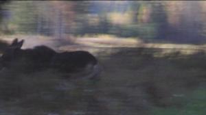 Yle Uutiset Kaakkois-Suomi: Yle Uutiset Kaakkois-Suomi 15-08-2016 Klo 17-06: 15.08.2016 16.53