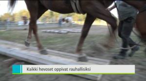 Yle Uutiset Pohjanmaa: Yle Uutiset Pohjanmaa 17-08-2016 Klo 18-22: 17.08.2016 18.13