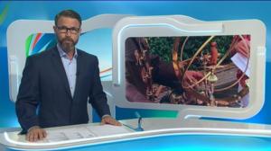 Yle Uutiset Lounais-Suomi: Yle Uutiset Lounais-Suomi 18-08-2016 Klo 18-22: 18.08.2016 18.44