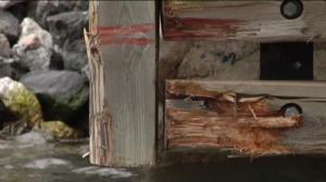 Yle Uutiset Lounais-Suomi: Yle Uutiset Lounais-Suomi 22-08-2016 Klo 17-06: 22.08.2016 16.28