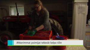 Yle Uutiset Pohjanmaa: Yle Uutiset Pohjanmaa 22-08-2016 Klo 18-22: 22.08.2016 17.51