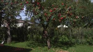 Yle Uutiset Kaakkois-Suomi: Yle Uutiset Kaakkois-Suomi 26-08-2016 Klo 17-06: 26.08.2016 16.33