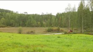 Yle Uutiset Itä-Suomi: Yle Uutiset Itä-Suomi 29-08-2016 Klo 17-06: 29.08.2016 16.33