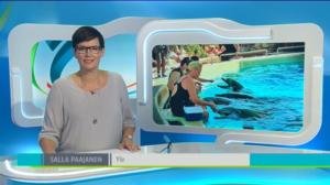 Yle Uutiset Pirkanmaa: Yle Uutiset Pirkanmaa 29-08-2016 Klo 18-22: 29.08.2016 18.42
