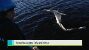 Yle Uutiset Itä-Suomi: Yle Uutiset Itä-Suomi 31-08-2016 Klo 18-22: 31.08.2016 18.07