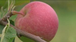 Yle Uutiset Itä-Suomi: Yle Uutiset Itä-Suomi 01-09-2016 Klo 17-06: 01.09.2016 16.34