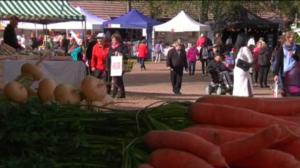 Yle Uutiset Pohjanmaa: Yle Uutiset Pohjanmaa 02-09-2016 Klo 17-06: 02.09.2016 16.47