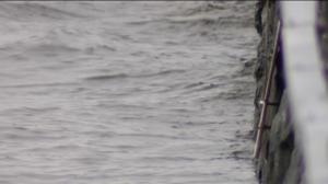 Yle Uutiset Uusimaa: Yle Uutiset Uusimaa 05-09-2016 klo 17-06: 05.09.2016 19.19