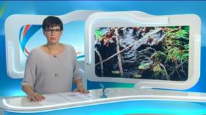 Yle Uutiset Keski-Suomi: Yle Uutiset Keski-Suomi 08-09-2016 Klo 18-22: 08.09.2016 17.46