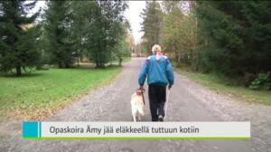 Yle Uutiset Pohjois-Suomi: Yle Uutiset Pohjois-Suomi 13-09-2016 Klo 18-22: 13.09.2016 17.44