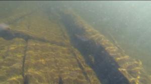 Yle Uutiset Itä-Suomi: Yle Uutiset Itä-Suomi 14-09-2016 Klo 17-06: 14.09.2016 16.33