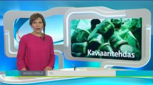 Yle Uutiset Itä-Suomi: Yle Uutiset Itä-Suomi 21-09-2016 Klo 18-22: 21.09.2016 17.45