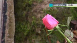 Yle Uutiset Kaakkois-Suomi: Yle Uutiset Kaakkois-Suomi 30-09-2016 Klo 17-06: 30.09.2016 16.42