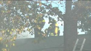 Yle Uutiset Lounais-Suomi: Yle Uutiset Lounais-Suomi 06-10-2016 Klo 17-06: 06.10.2016 16.44