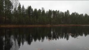 Yle Uutiset Pohjanmaa: Yle Uutiset Pohjanmaa 07-10-2016 Klo 17-06: 07.10.2016 16.40