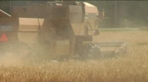 Yle Uutiset Häme: Yle Uutiset Häme 10-10-2016 klo 17-06: 10.10.2016 16.28