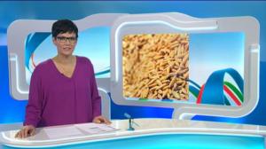 Yle Uutiset Häme: Yle Uutiset Häme 10-10-2016 Klo 18-22: 10.10.2016 17.32