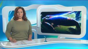 Yle Uutiset Keski-Suomi: Yle Uutiset Keski-Suomi 10-10-2016 Klo 18-22: 10.10.2016 17.36
