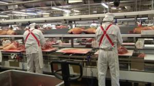 Yle Uutiset Pohjanmaa: Yle Uutiset Pohjanmaa 12-10-2016 Klo 17-06: 12.10.2016 16.32