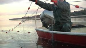 Yle Uutiset Pohjois-Suomi: Yle Uutiset Pohjois-Suomi 14-10-2016 Klo 17-06: 14.10.2016 16.55