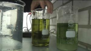 Yle Uutiset Pohjois-Suomi: Yle Uutiset Pohjois-Suomi 19-10-2016 Klo 17-06: 19.10.2016 16.31