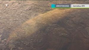 Yle Uutiset Lappi: Yle Uutiset Lappi 25-10-2016 Klo 17-06: 25.10.2016 16.37