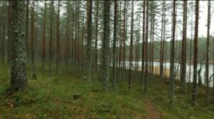 Yle Uutiset Itä-Suomi: Yle Uutiset Itä-Suomi 31-10-2016 Klo 17-06: 31.10.2016 16.30