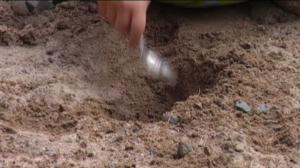 Yle Uutiset Pohjanmaa: Yle Uutiset Pohjanmaa 04-11-2016 Klo 17-06: 04.11.2016 16.38