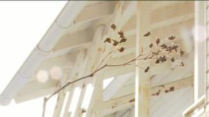 Yle Uutiset Keski-Suomi: Yle Uutiset Keski-Suomi 09-11-2016 Klo 17-06: 09.11.2016 16.37