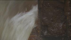 Yle Uutiset Häme: Yle Uutiset Häme 14-11-2016 klo 17-06: 14.11.2016 16.23