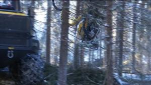 Yle Uutiset Lappi: Yle Uutiset Lappi 18-11-2016 Klo 17-06: 18.11.2016 16.39