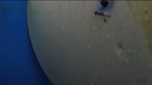 Yle Uutiset Keski-Suomi: Yle Uutiset Keski-Suomi 25-11-2016 Klo 17-06: 25.11.2016 16.24