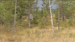 Yle Uutiset Lappi: Yle Uutiset Lappi 28-11-2016 Klo 17-06: 28.11.2016 16.41