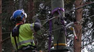 Yle Uutiset Keski-Suomi: Yle Uutiset Keski-Suomi 01-12-2016 Klo 17-06: 01.12.2016 16.59