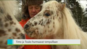 Yle Uutiset Pohjanmaa: Yle Uutiset Pohjanmaa 02-12-2016 Klo 18-22: 02.12.2016 17.31