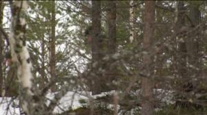 Yle Uutiset Itä-Suomi: Yle Uutiset Itä-Suomi 05-12-2016 Klo 17-06: 05.12.2016 16.38