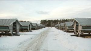 Yle Uutiset Pohjanmaa: Yle Uutiset Pohjanmaa 09-12-2016 Klo 17-06: 09.12.2016 19.09