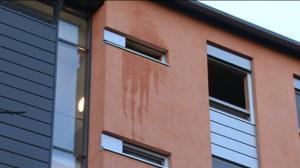 Yle Uutiset Uusimaa: Yle Uutiset Uusimaa 12-12-2016 klo 17-06: 12.12.2016 17.41