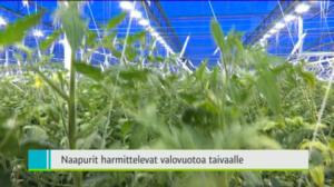 Yle Uutiset Lounais-Suomi: Yle Uutiset Lounais-Suomi 15-12-2016 Klo 18-22: 15.12.2016 18.08