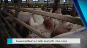 Yle Uutiset Kaakkois-Suomi: Yle Uutiset Kaakkois-Suomi 20-12-2016 Klo 18-22: 20.12.2016 17.39