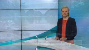 Yle Uutiset Uusimaa: Yle Uutiset Uusimaa 20-12-2016 klo 18-22: 20.12.2016 18.34