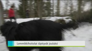 Yle Uutiset Itä-Suomi: Yle Uutiset Itä-Suomi 22-12-2016 Klo 18-22: 22.12.2016 17.44