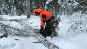 Yle Uutiset Lappi: Yle Uutiset Lappi 23-12-2016 Klo 17-06: 23.12.2016 16.40