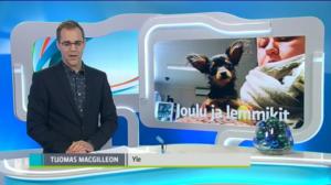 Yle Uutiset Häme: Yle Uutiset Häme 23-12-2016 Klo 18-22: 23.12.2016 17.33