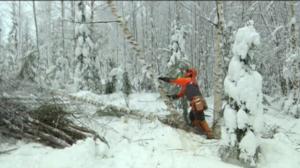 Yle Uutiset Itä-Suomi: Yle Uutiset Itä-Suomi 27-12-2016 Klo 17-06: 27.12.2016 16.32