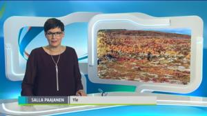 Yle Uutiset Lappi: Yle Uutiset Lappi 30-12-2016 Klo 18-22: 30.12.2016 17.47