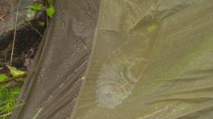 Korpijengi: Märkää: 27.07.2016 11.00