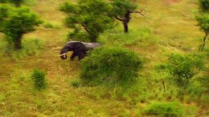 Matkapassi: Afrikan kierros: 17.07.2016 19.10