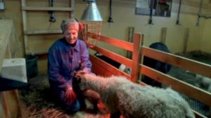 Norjan maatalouden tulevaisuus: 05.08.2016 19.00