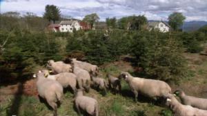 Tiettömän taipaleen takana: 14.07.2016 12.55